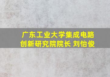 广东工业大学集成电路创新研究院院长 刘怡俊